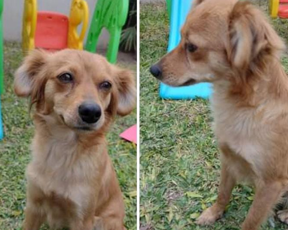 Esta reina busca castillo: “Seguimos buscando un hogar para ella”