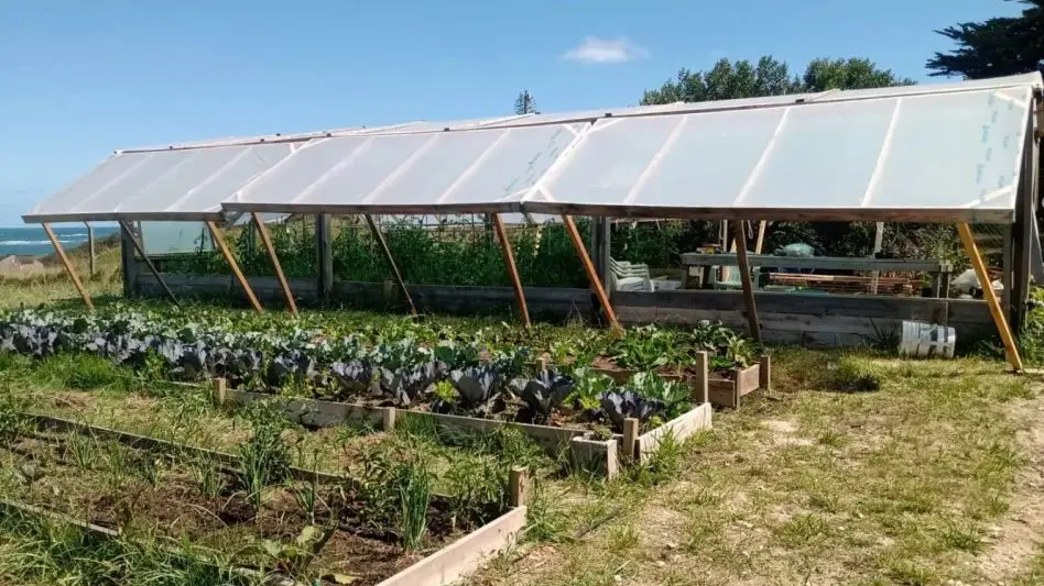 Se viene el lanzamiento de la "Campaña otoño-invierno 2023" de la huerta del Faro