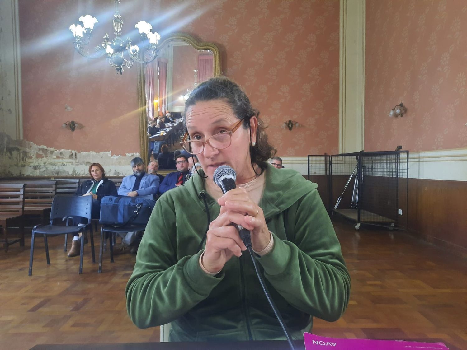 vanina cappelletti rendición de cuentas