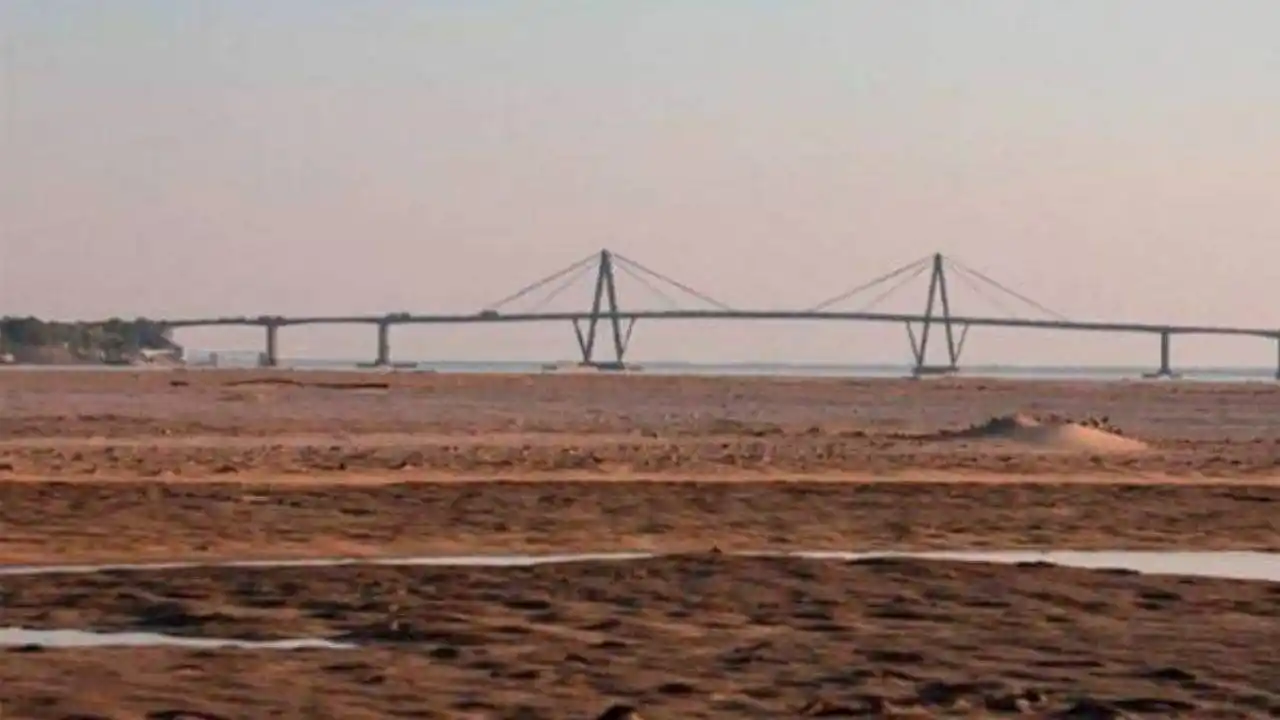 La gran bajante del río Paraná altera los ecosistemas fluviales