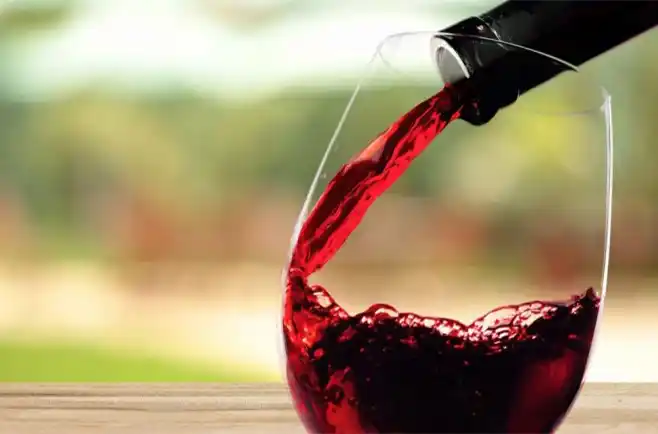 Día Nacional del Malbec: su creación, sus características y cómo hay que consumirlo
