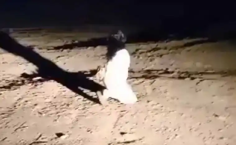 Una chica caminaba de noche en el lugar de forma extraña.