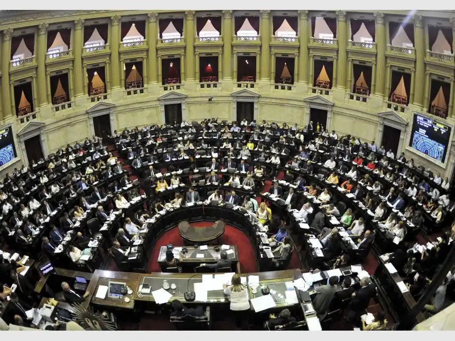 «Que la Solidaridad empiece de la política» es la petición que alcanzó 240 mil firmas en una semana