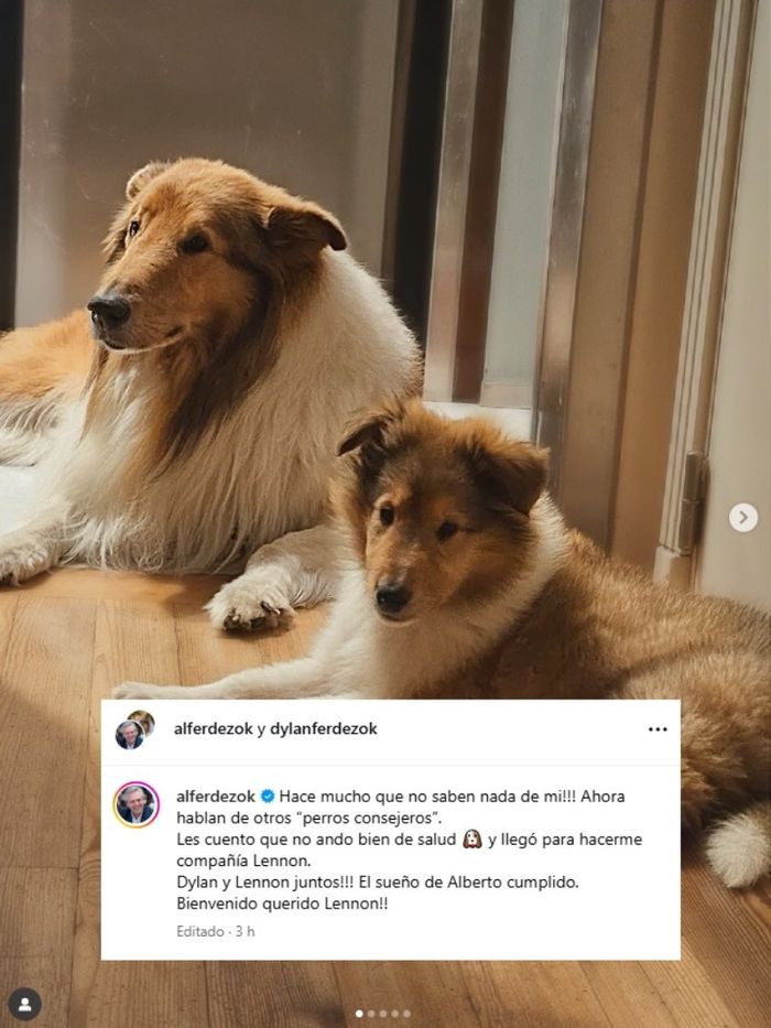 perro alberto fernandez