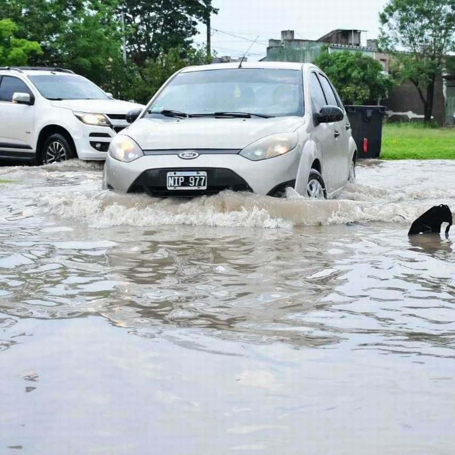 En la ciudad de Formosa se registraron las 
mayores precipitaciones con 88 milímetros