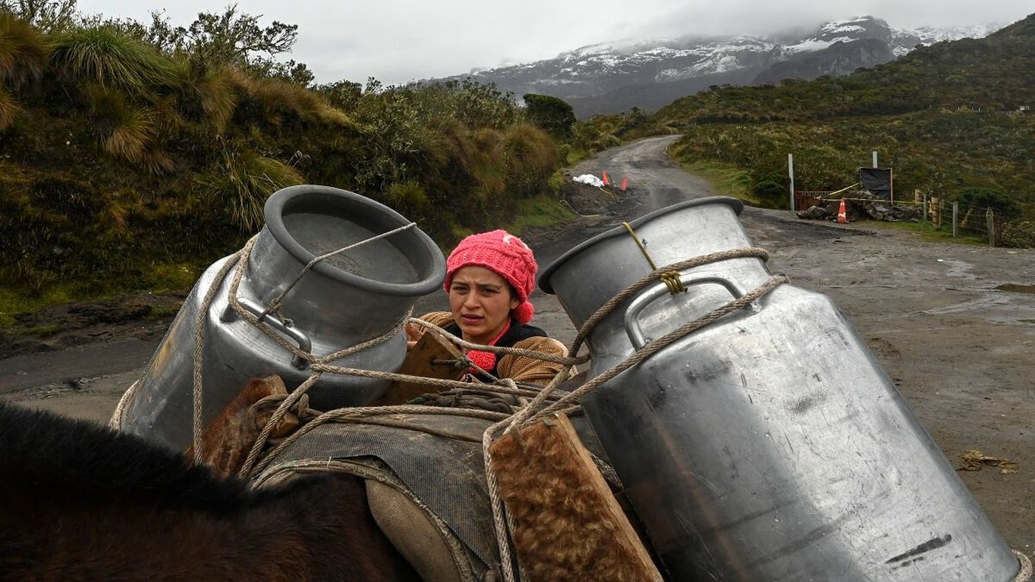 Evacuar o salvar sus animales, el dilema de campesinos junto a un volcán en Colombia