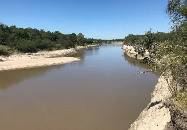 La cuenca del Gualeguay, en alerta: en 15 años se perdieron 58 mil hectáreas de bosques nativos