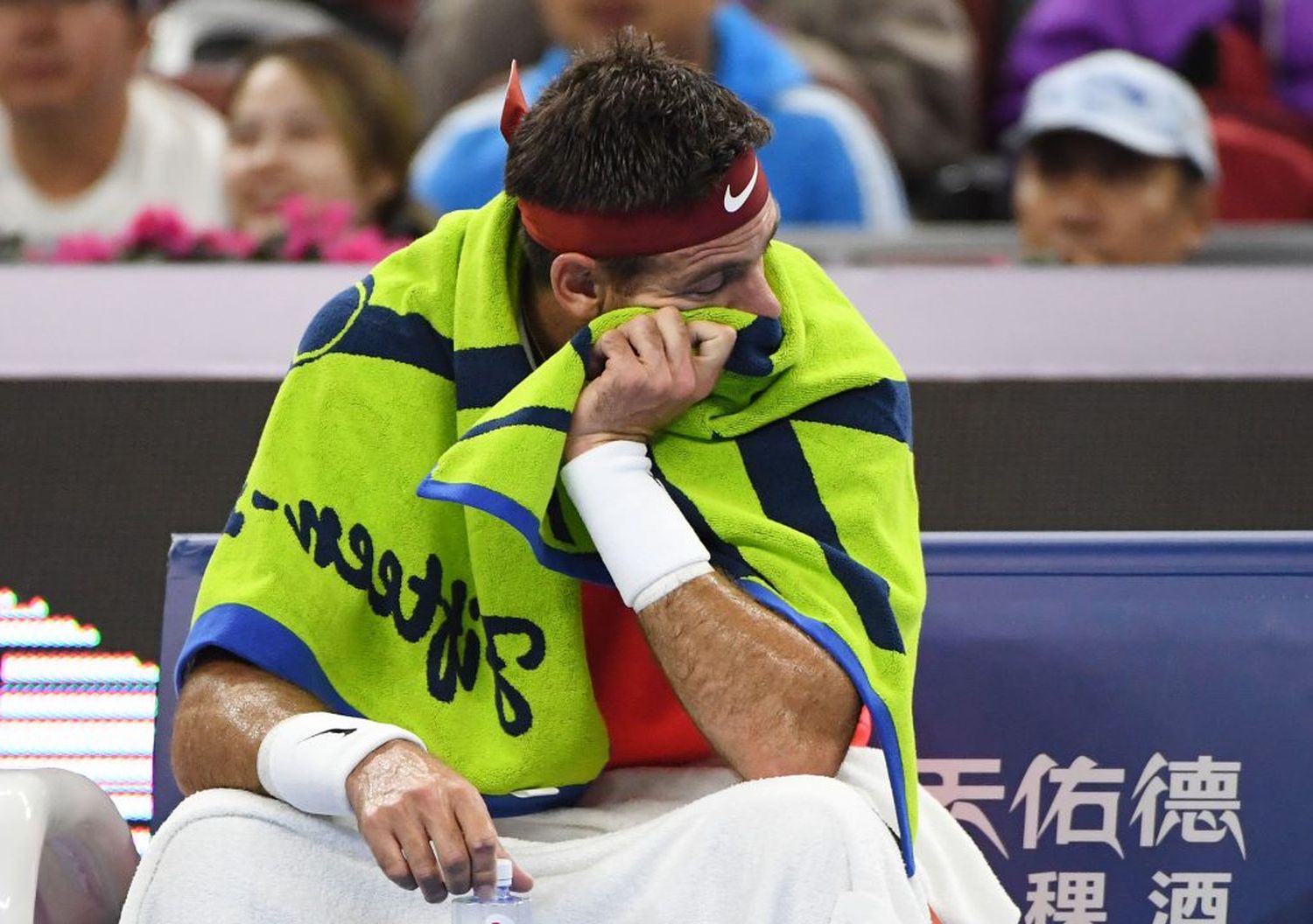 Del Potro acentúa su caída en el ranking ATP