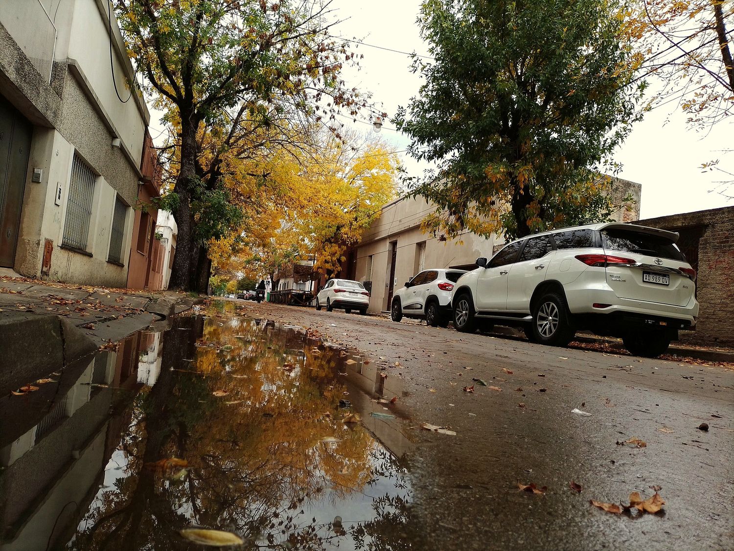 Tiempo en Gualeguay