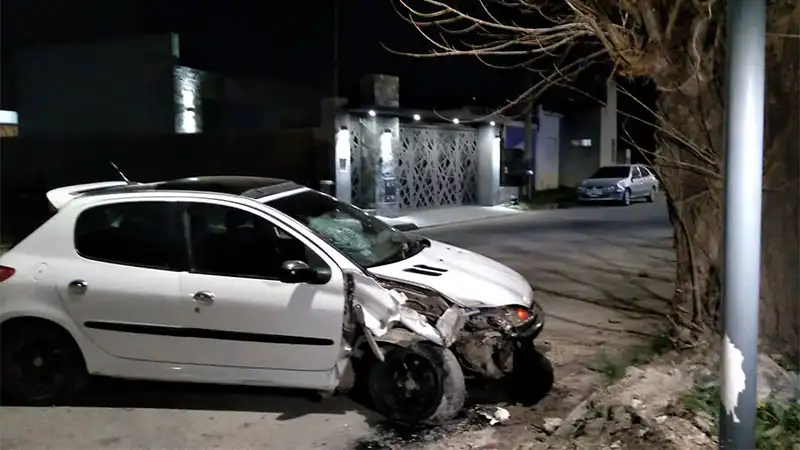 Manejaba borracho y sin papeles: terminó estrolado contra un árbol