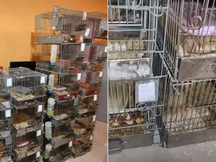 criadero de erizos 2