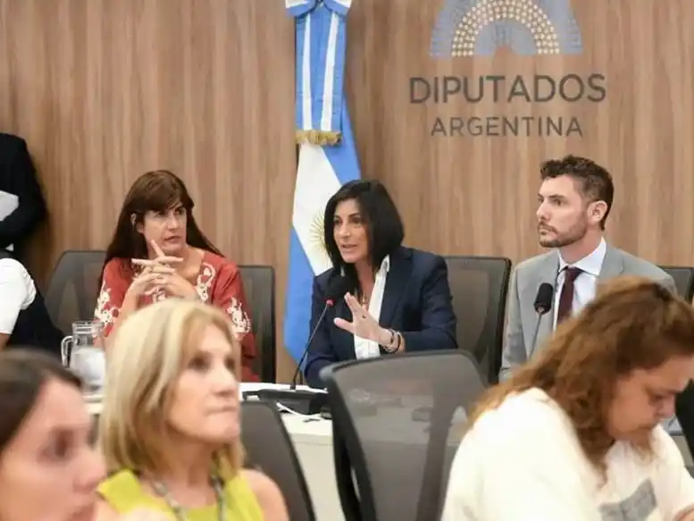 Diputados dictaminó el Acuerdo Mercosur-UE y 
quedó listo para ser debatido en la sesión de hoy