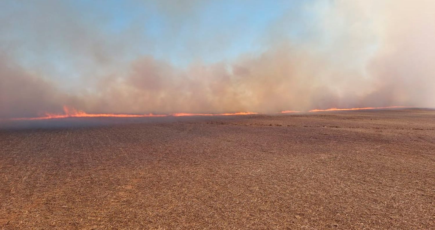 El incendio que lograron contener los bomberos de Frontera