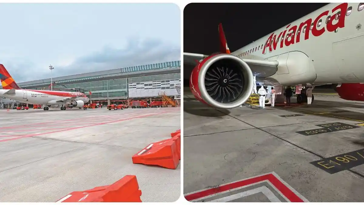 ¡HORRIBLE! Dos polizones mueren en un vuelo entre Chile y Colombia