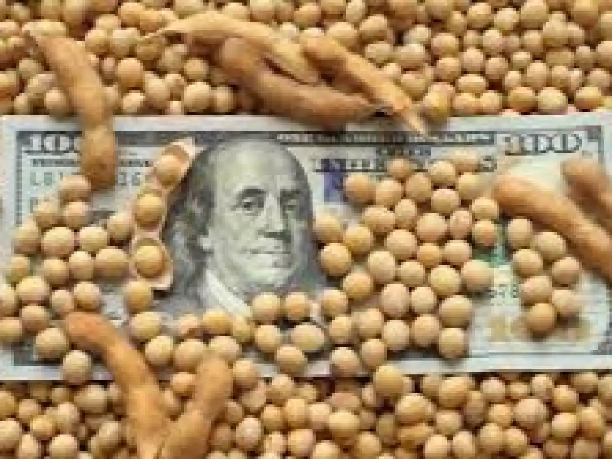 El Banco Central prohíbe acceder al mercado de cambio a productores que liquidaron a “dólar soja”