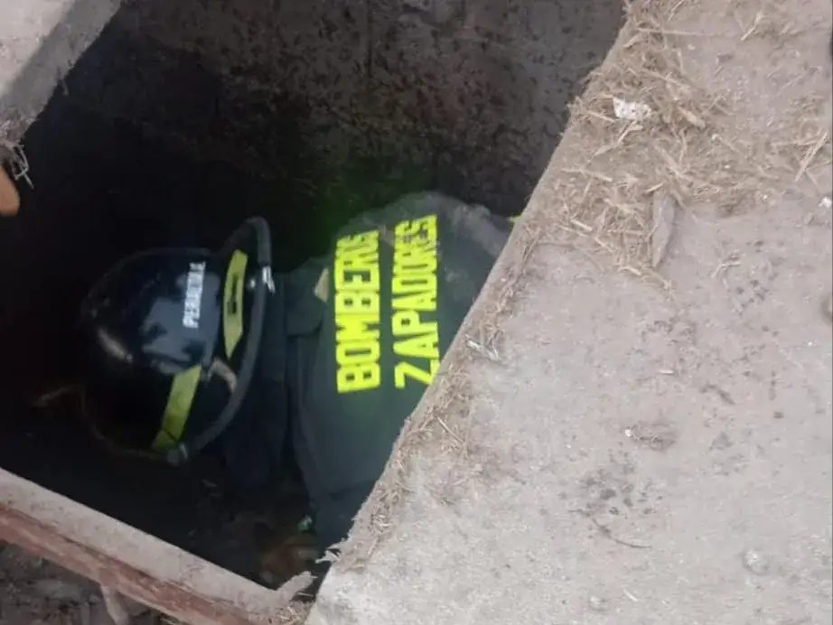 rescate de un perro - 2
