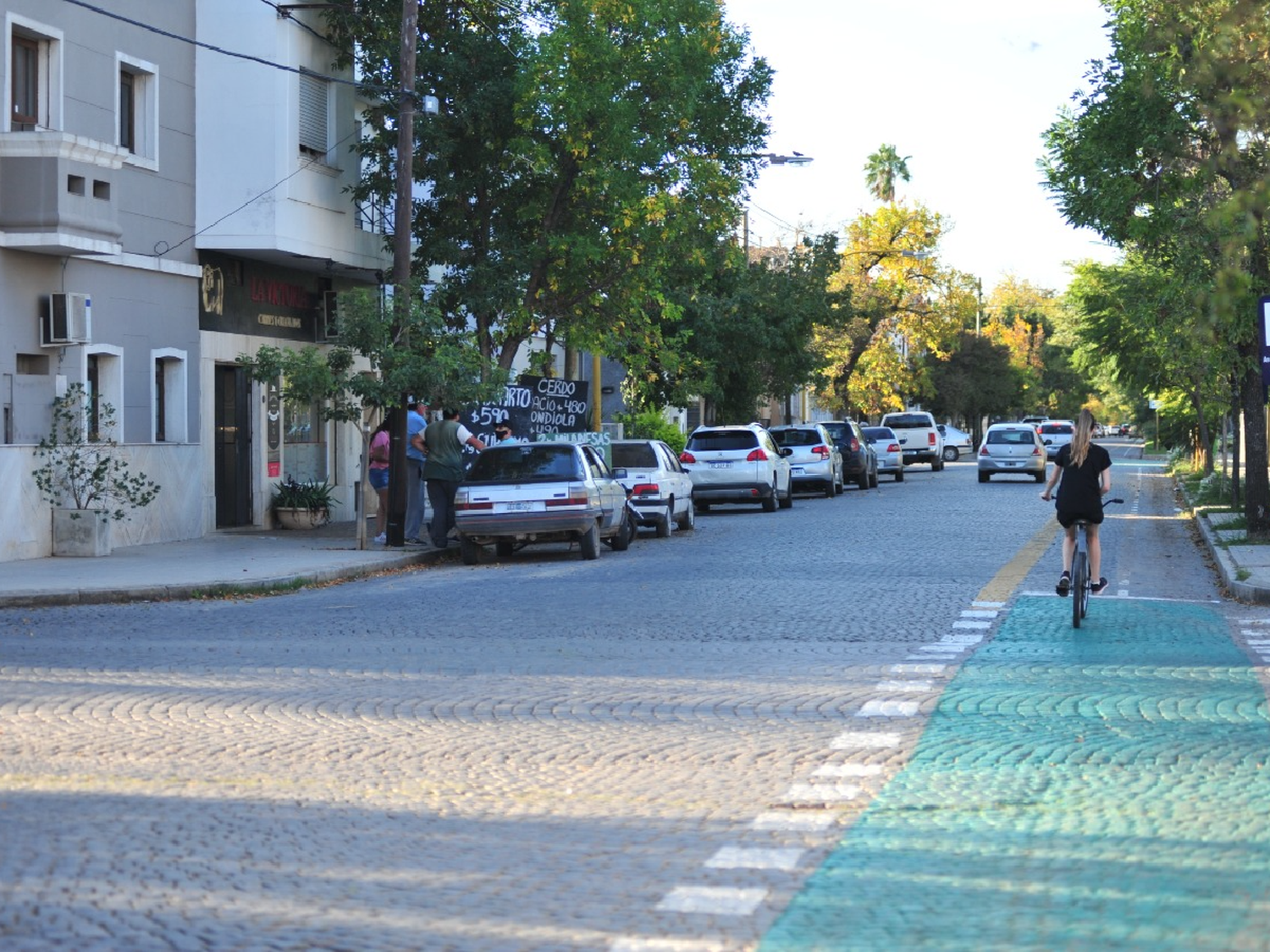 Habrá comercios “bici amigables” a la vera de la ciclovía                        