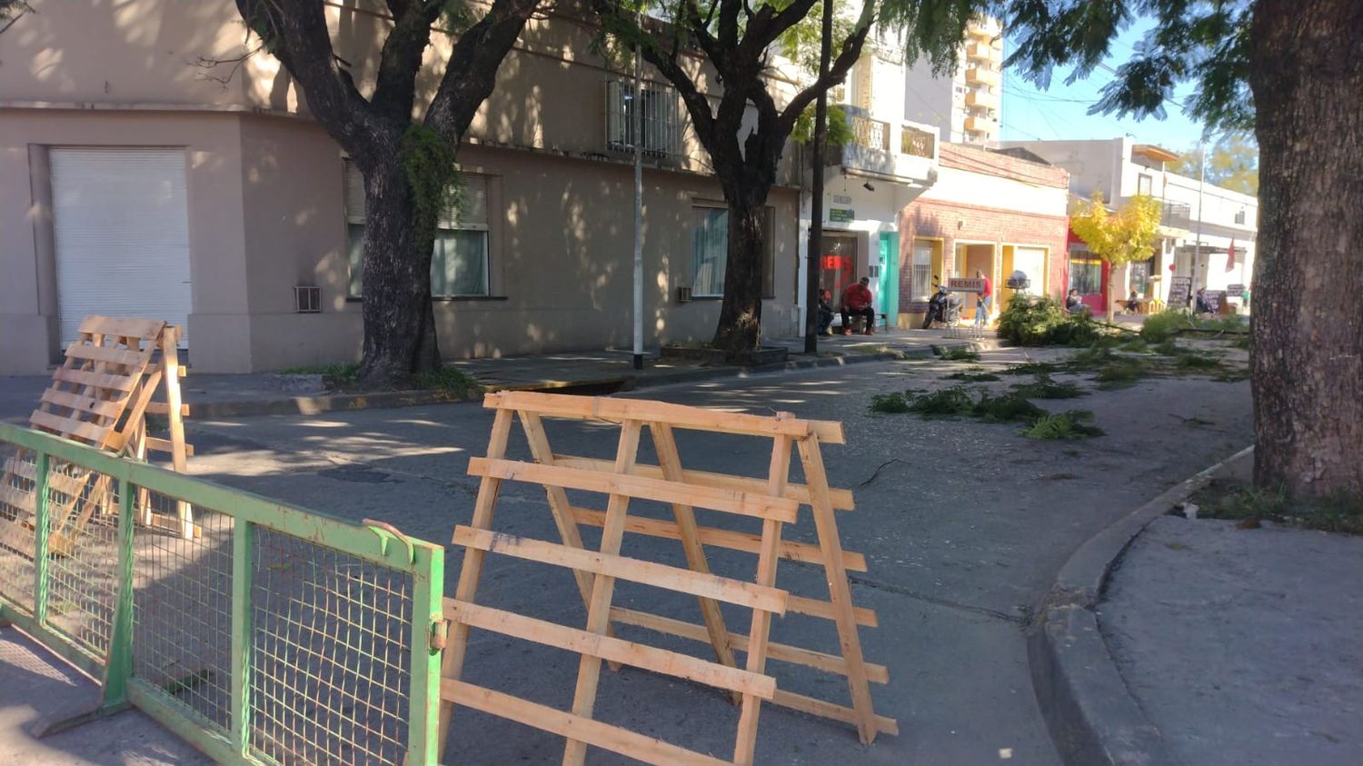 Circulación restringida por poda de árboles