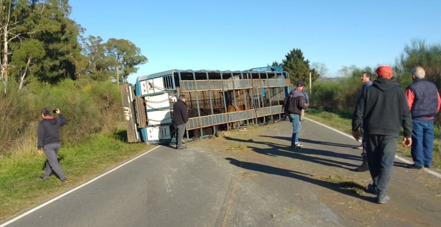 Un camión que transportaba hacienda volcó su acoplado