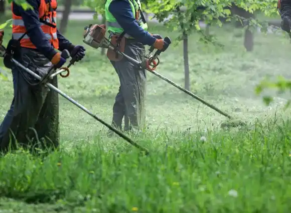 Higiene Urbana: llamado a licitación para reforzar el mantenimiento de los espacios públicos