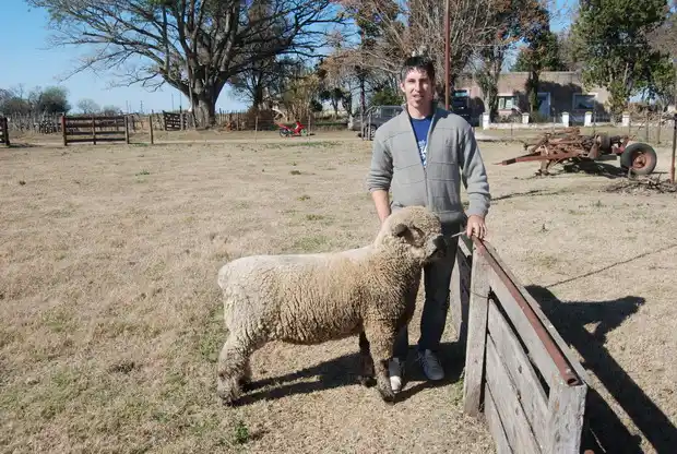Matías Márquez: "La actividad ovina nos mantiene en pie" 