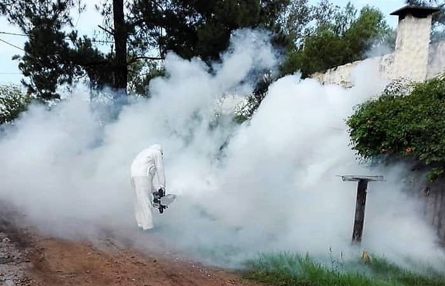 Nuevo caso sospechoso de Dengue en Gualeguaychú: hay 20 positivos
