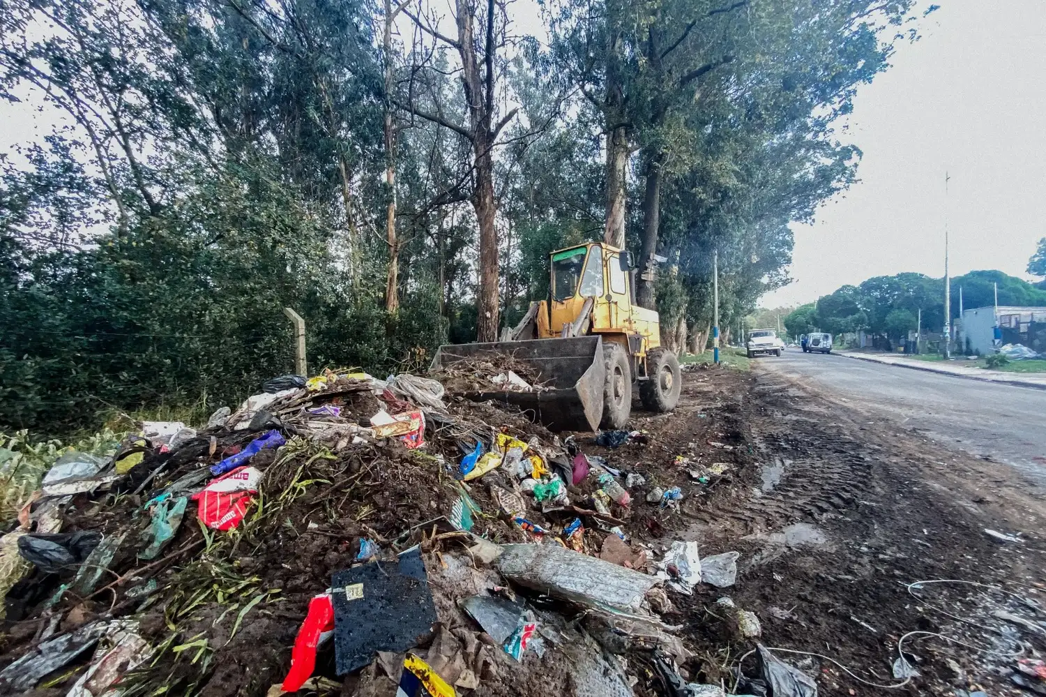 Bonifatti le pidió a los vecinos que  saquen las bolsas "no más de una hora antes de que pase el recolector".