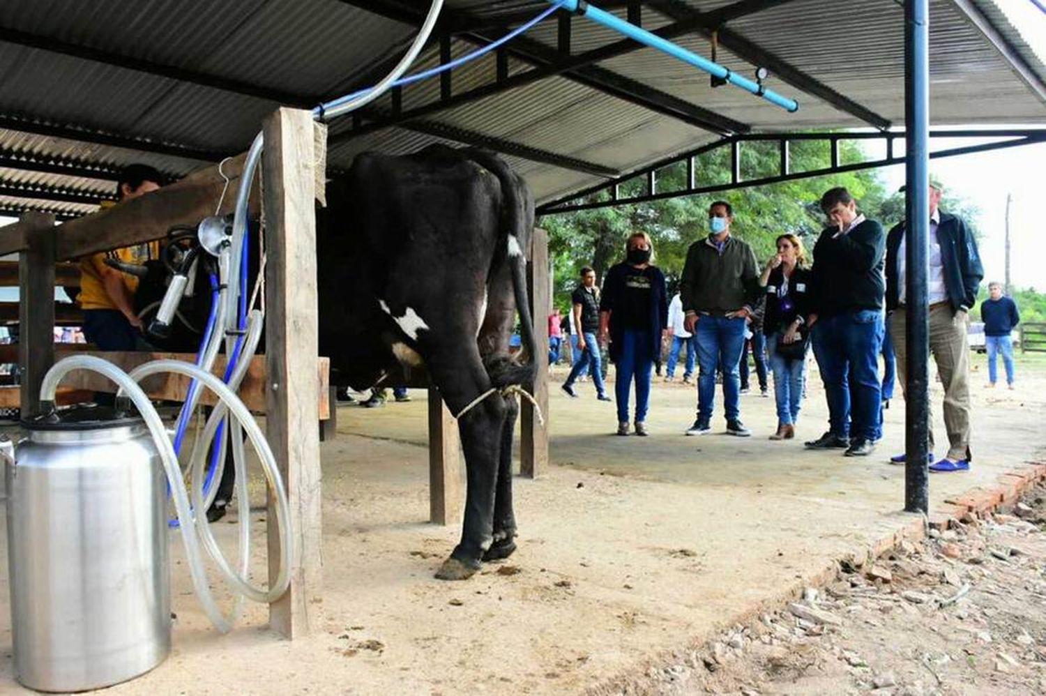 Producción lechera: acompañamiento técnico del 
Gobierno en las diferentes zonas de producción