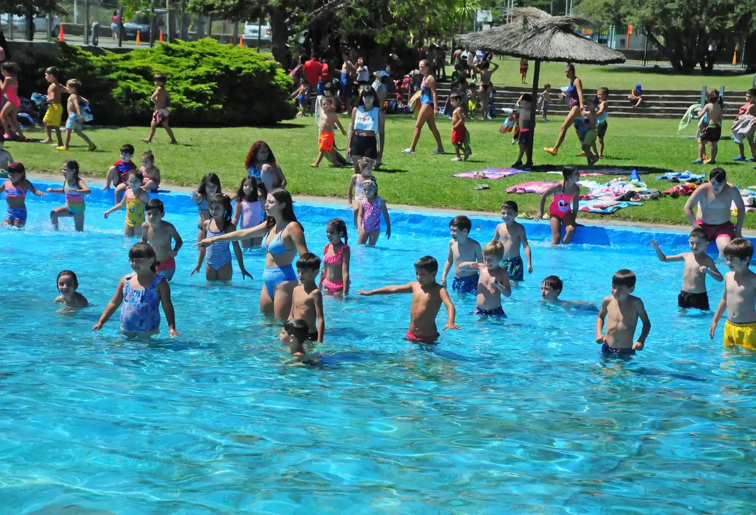 Colonia Municipal 04-01-23 - 4