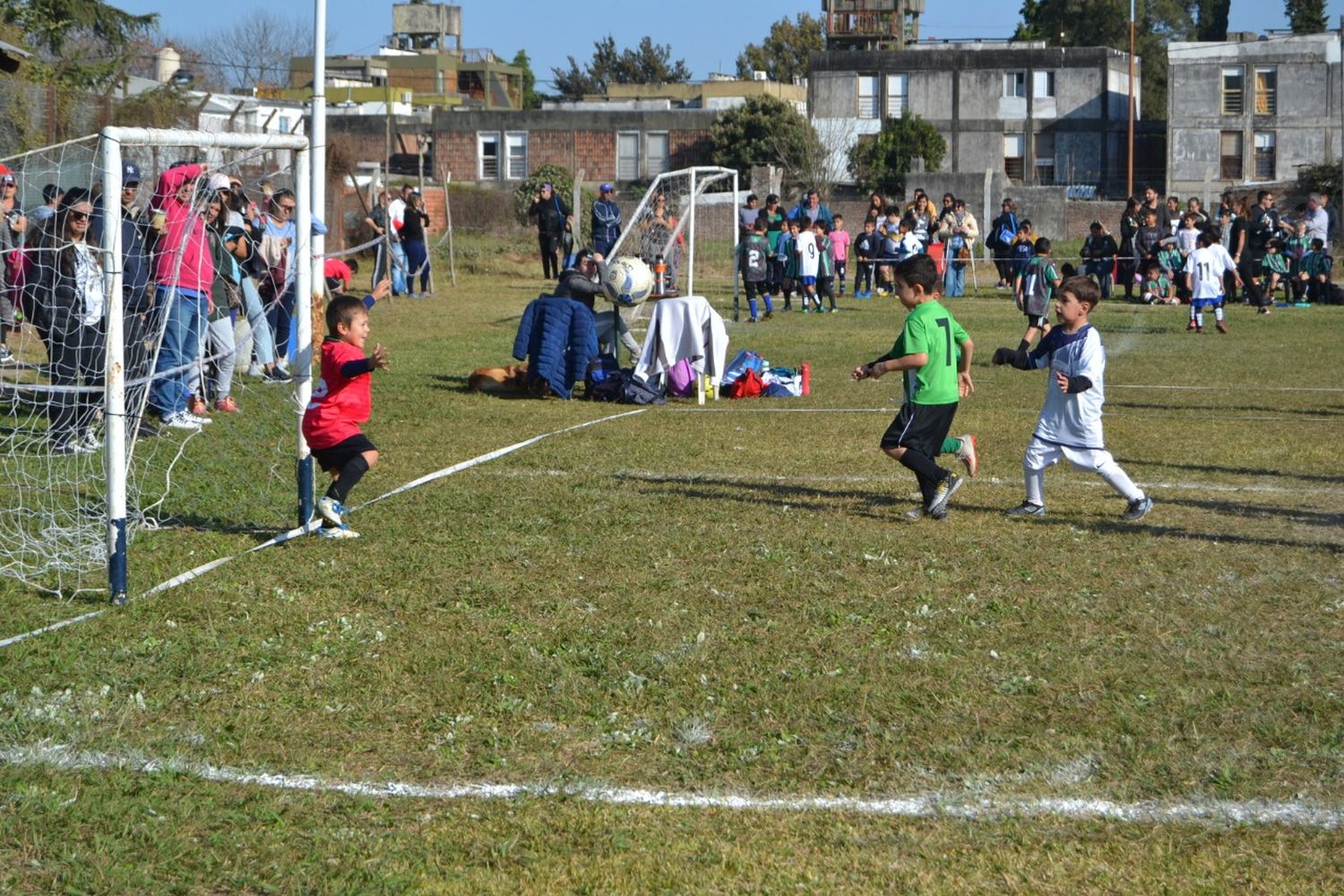 Tras la disputa de Sportivitos del pasado fin de semana, este domingo se desarrolla el Entrerriano de Preinfantiles en cancha de Barrio Norte ante una gran expectativa.