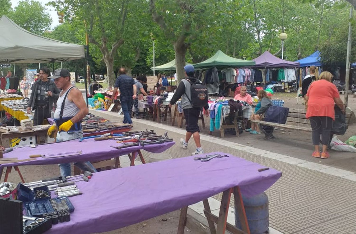 Plaza Rocha: los feriantes esperan respuestas del municipio para realizar la prueba piloto