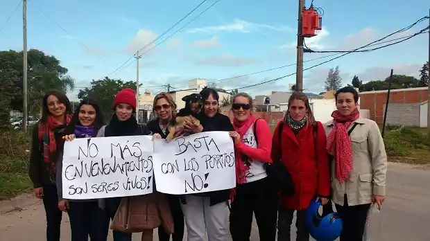 Mataron a 15 perros y los vecinos pidieron: “No más envenenamientos”
