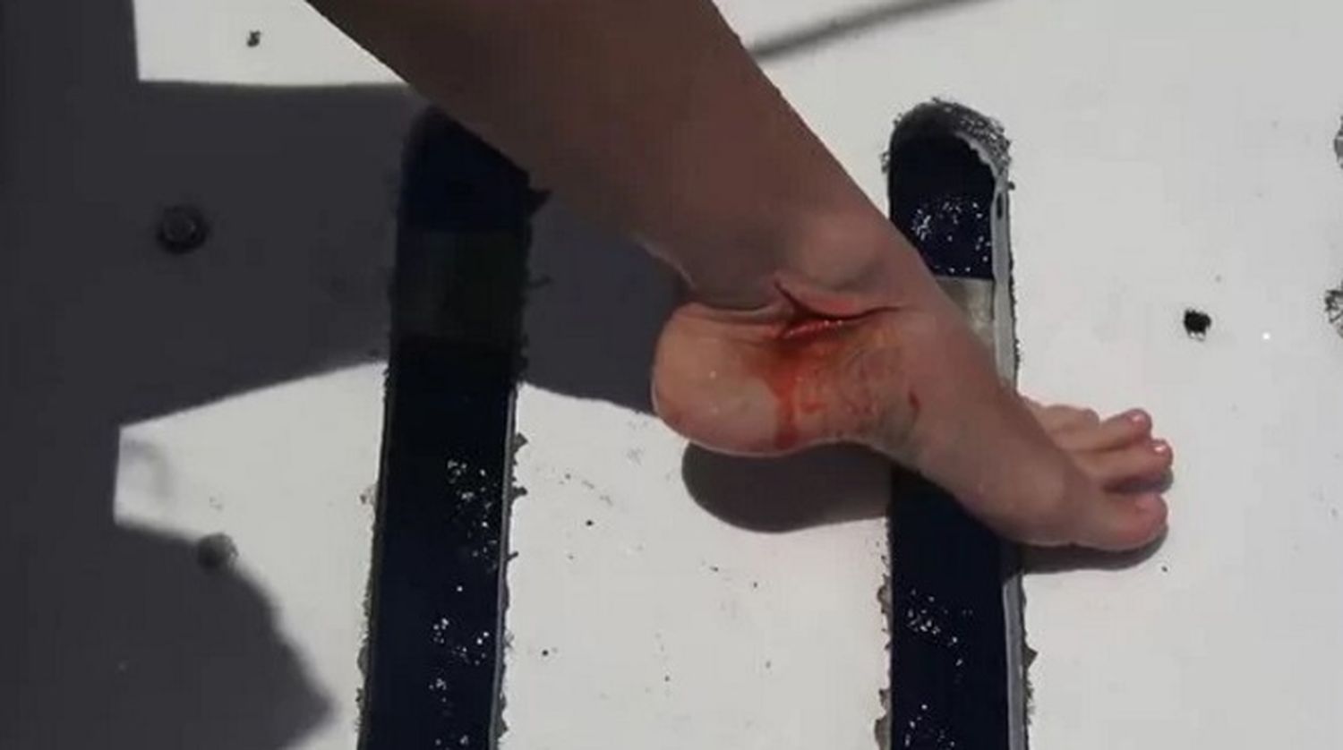 Video: actriz porno atacada por un tiburón durante una grabación