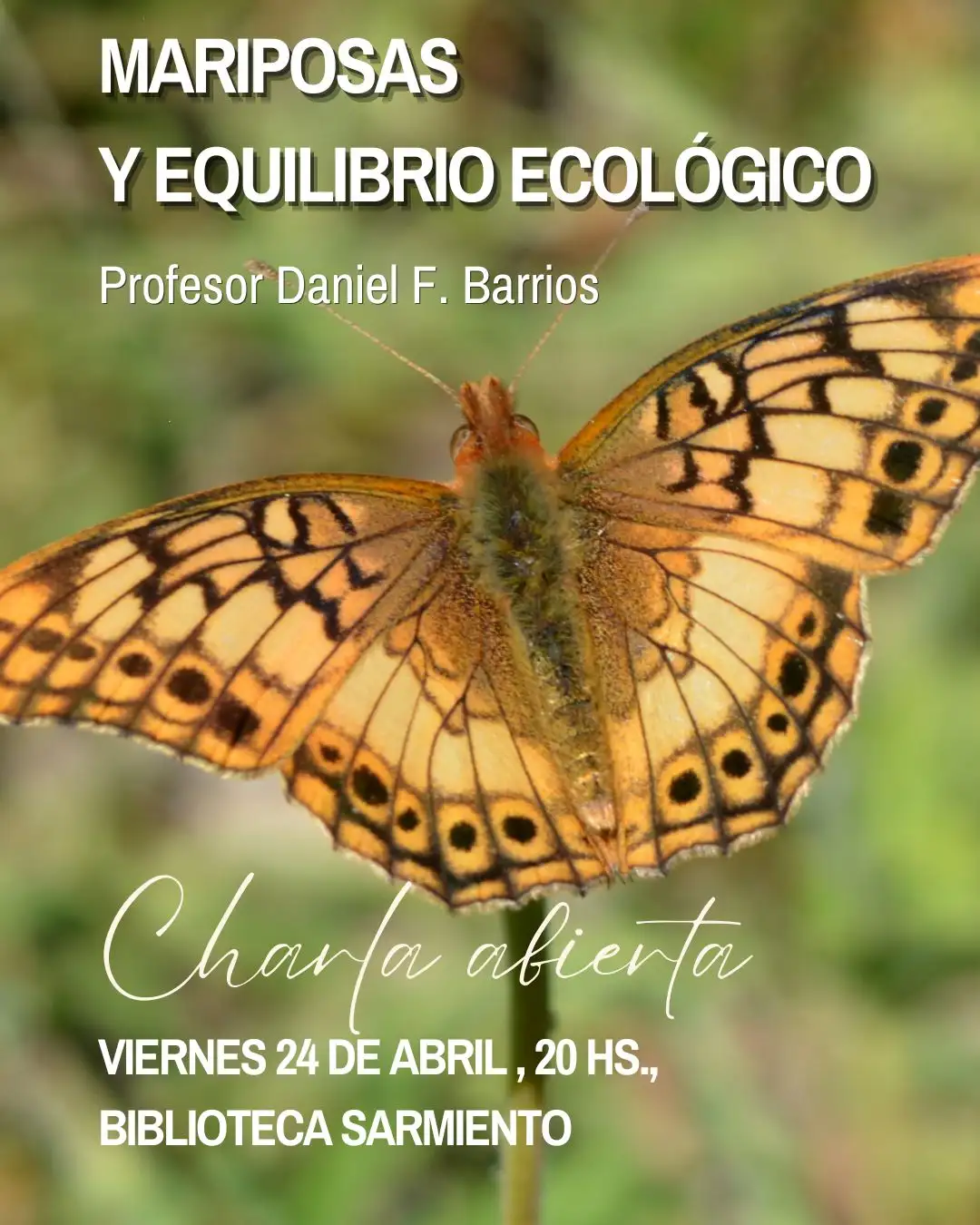 mariposa