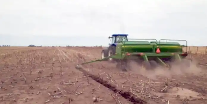 Avanzada. La siembra en el distrito está casi terminada en el caso del maíz temprano y el girasol