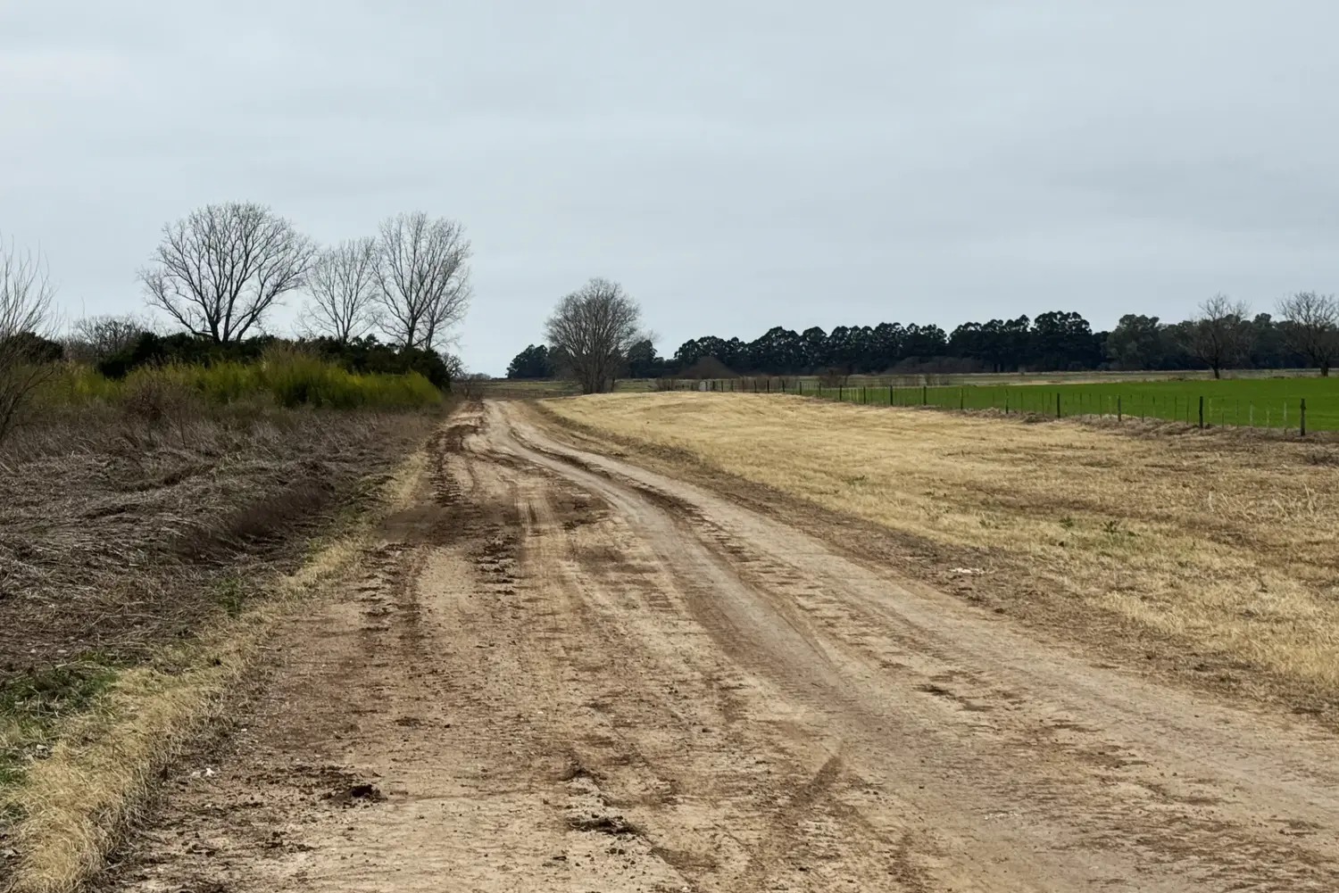 En San Pedro hay alrededor de 1800 kilómetros de caminos rurales.