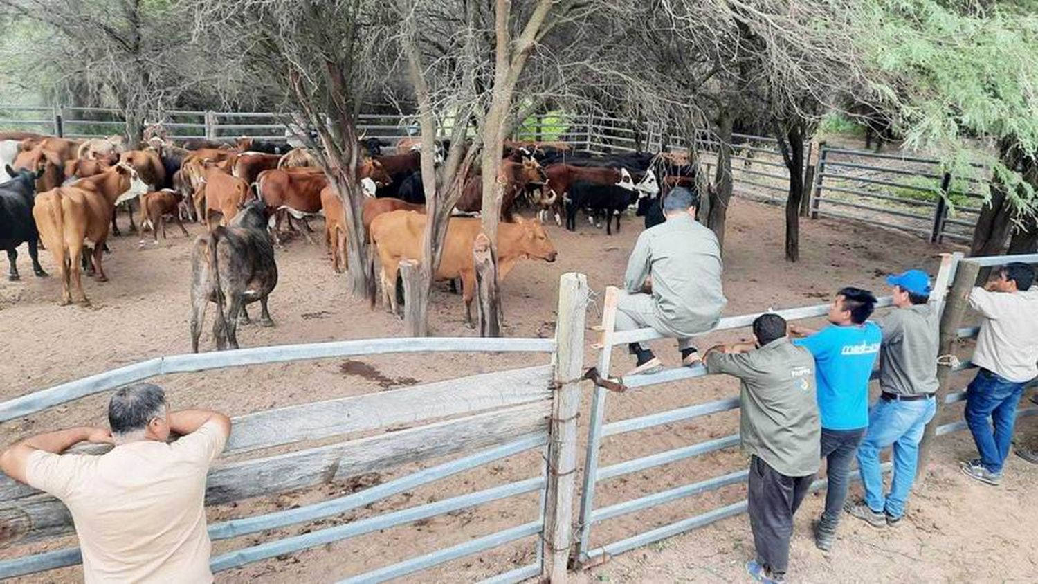 El PAIPPA realizó relevamiento a productores del oeste formoseño