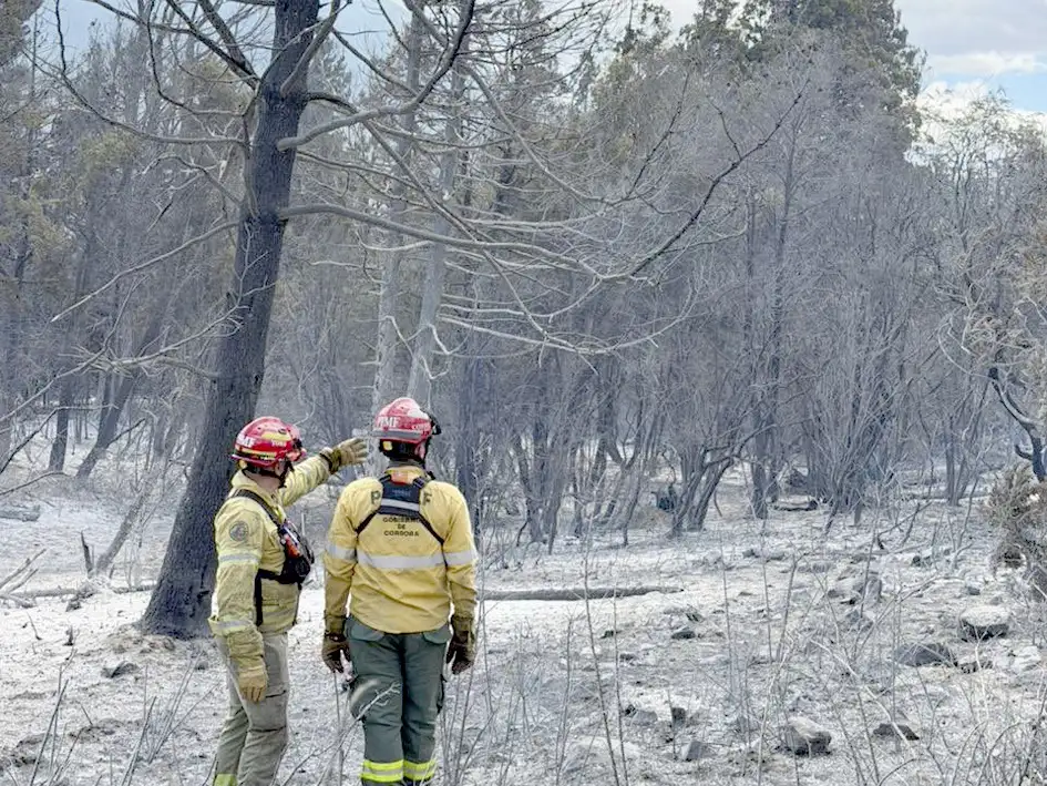 La lluvia entregó algo de alivio durante los incendios en Chubut pero sigue el alerta