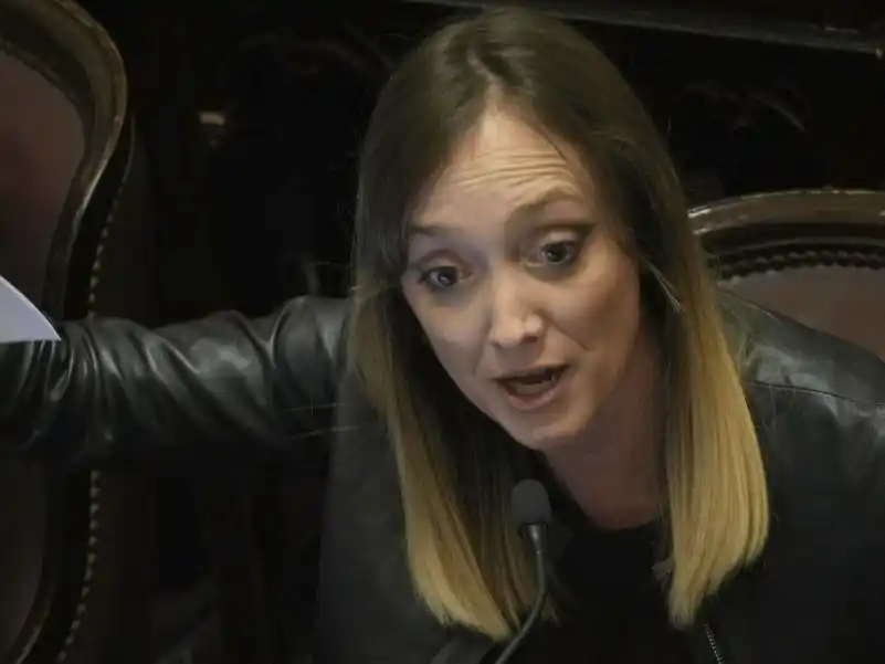 La senadora Fernánez Sagasti propuso agregar más delitos a "Ficha Limpia" (Foto NA)