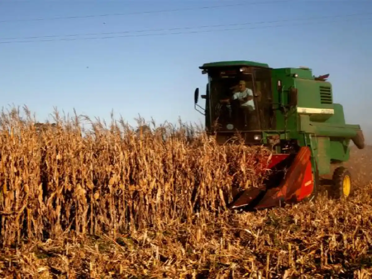 Para la Provincia, la producción agrícola 2018/19 estará cerca del récord