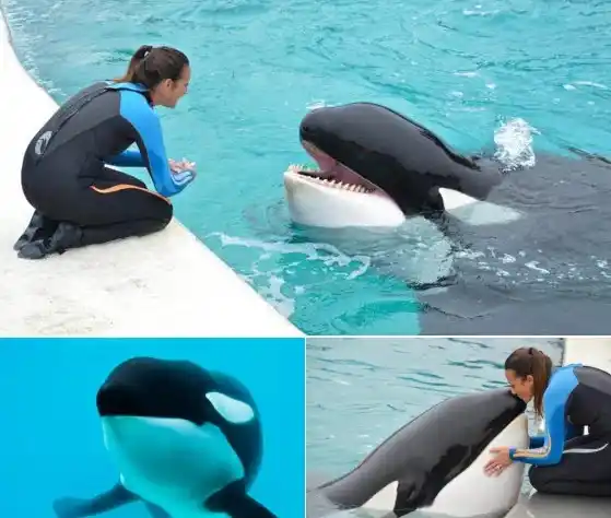 Kshamenk había sido rescatado cuando era un cachorro.