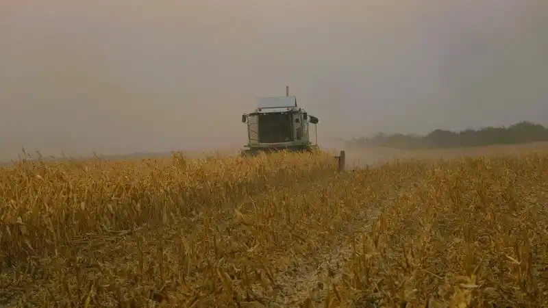 Tiempos de turbulencias en el sector agrícola: una mirada a los productores entrerrianos