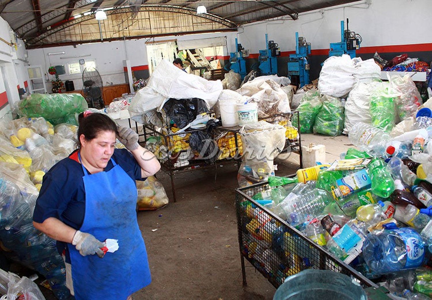 Taller. El reciclado de botellas plásticas, un trabajo protegido