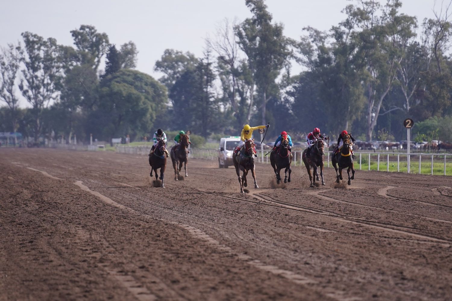 Jornada de Turf en el "Boero".