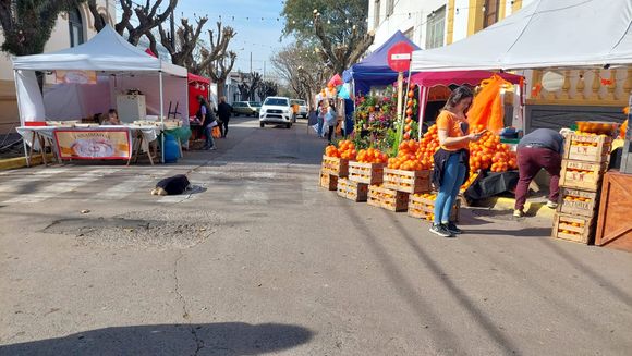 Fiesta de la Naranja: con Raly Barrionuevo, primera jornada del evento