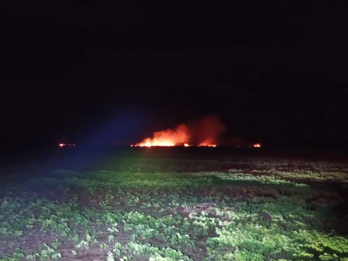 El fuego afectó varias hectáreas en la zona rural.