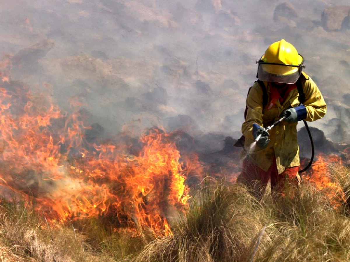 Incendios: la actividad se concentra en zonas de alta montaña