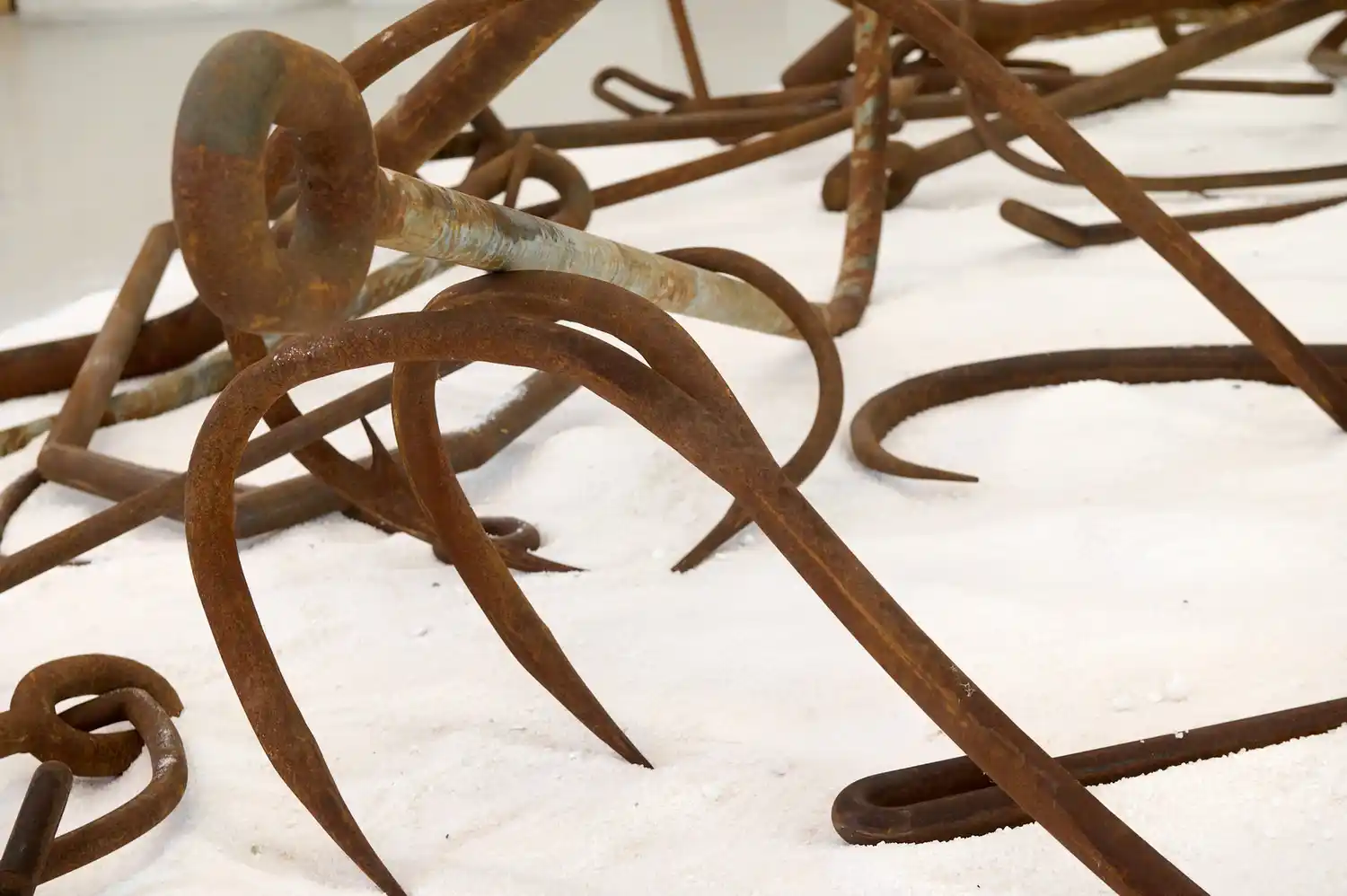 La muestra cuenta con la curaduría conjunta de Andrés Duprat, director del Museo Nacional de Bellas Artes, y Diego Sileo, curador del PAC de Milán.