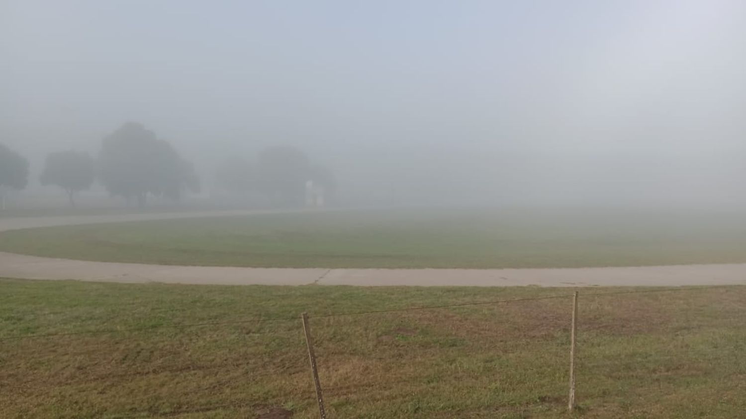niebla mas