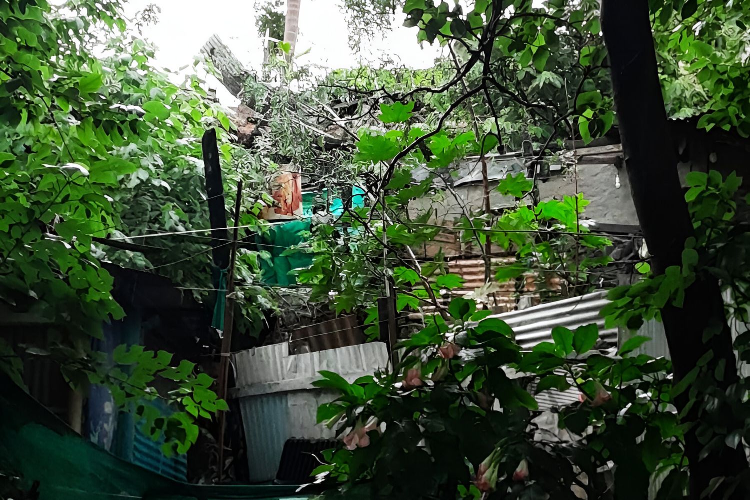 Defensa Civil ordenó evacuar la vivienda.